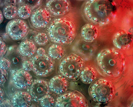 10x Disco Lights Illumination of Gorilla Glue bubbles after curing